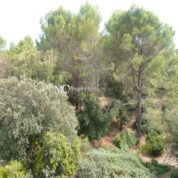 Offres de location Appartement Peymeinade 06530