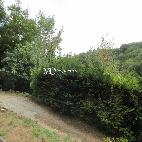 Offres de vente Villa Tourrettes-sur-Loup 06140