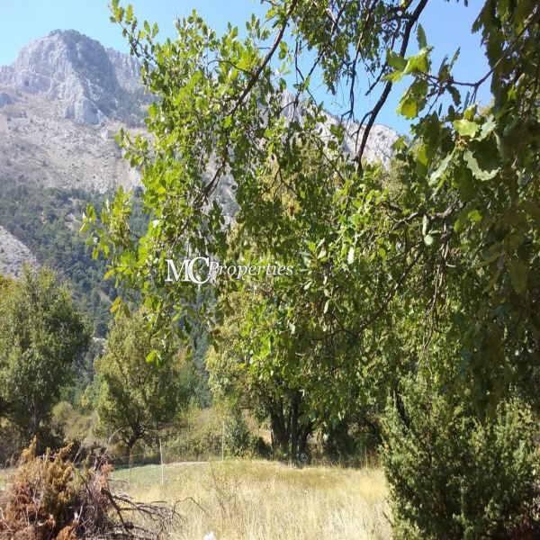 Offres de vente Terrain Escragnolles 06460